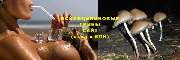 бошки Армянск