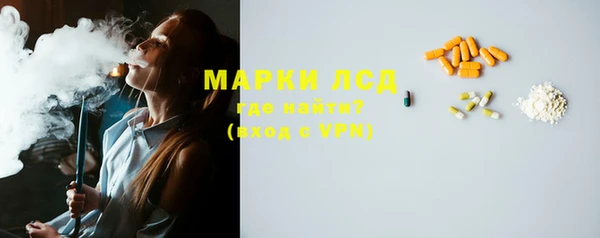гашик Аркадак