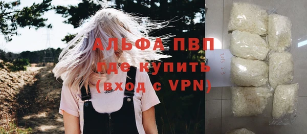 дживик Арсеньев