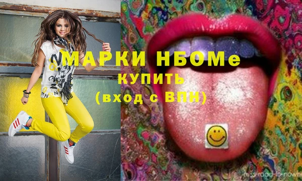 гашик Аркадак