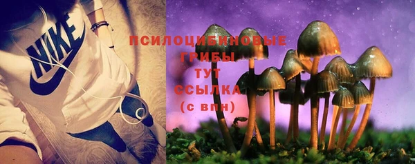 бошки Армянск