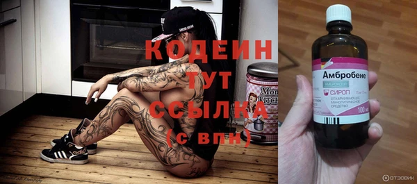 дживик Арсеньев