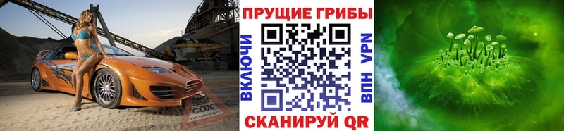 Псилоцибиновые грибы GOLDEN TEACHER  mega   Серафимович 